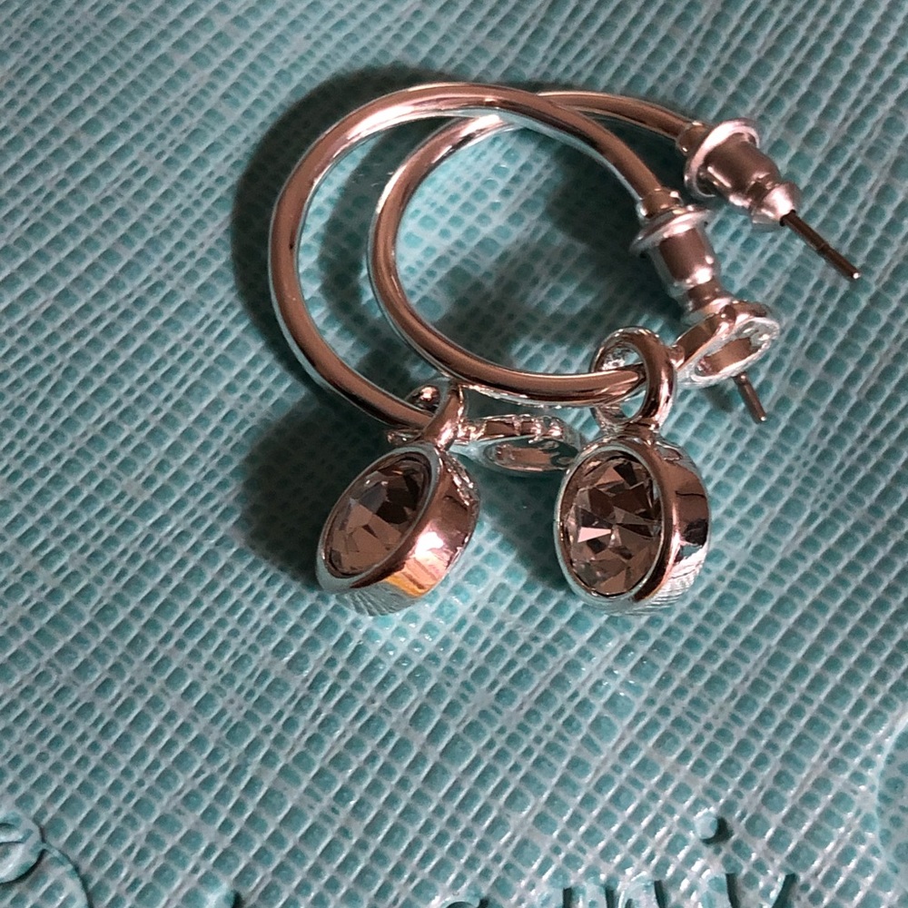 Silver Customizable Hoops W/drops Set